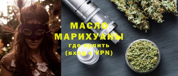 сатива Новозыбков