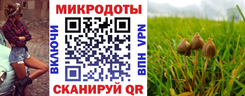 Галлюциногенные грибы мухоморы  магазин продажи   Полевской 